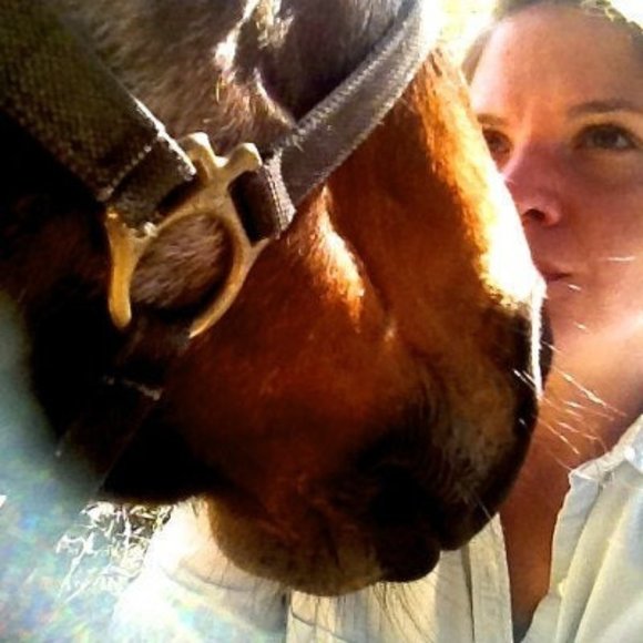 Meet your Posher, Posh - Picture 1 of 1